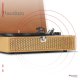 Gramofon w walizce RP119 Audizio złoty one size 19