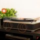 Gramofon RP161LW Fenton HQ BT jasne drewno one size 18