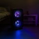 Głośnik mobilny Fenton 2x 10" FT210LED, zestaw karaoke z Bluetooth - 700W one size 12