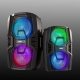 Głośnik mobilny Fenton 2x 10" FT210LED, zestaw karaoke z Bluetooth - 700W one size 13