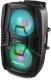 Głośnik mobilny Fenton 2x 10" FT210LED, zestaw karaoke z Bluetooth - 700W one size 6