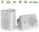 Zestaw kolumn instalacyjnych 100V 4" 100W BC40V PD one size 1