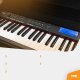 Pianino cyfrowe 61-klawiszowe ze statywem RhapsodyDP61 Max one size 14