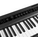 Pianino cyfrowe ważone pełnowymiarowe 88-klawiszowe RhapsodyDP88 Max one size 9