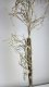 Jodła jagodowa, biała, 120cm one size 1