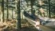 Hamak turystyczny Robens Trace Hammock Set 12