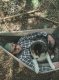 Hamak turystyczny Robens Trace Hammock Set 8