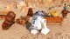 Warner Bros LEGO Star Wars Die Skywalker Saga - PlayStation 5 7