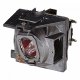 RLC-109 projector lamp 3