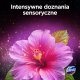 DOMESTOS Kostka toaletowa Aroma Lux Hibiscus Oil & Wild Berries 2 x 55 g 3
