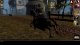 Neverwinter Nights Enhanced Edition (PS4) 3