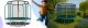 Trampolina ogrodowa dla dzieci 312cm z siatką zewnętrzną i drabinką 1