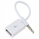 Adapter gniazdo USB - wtyk Jack 3,5mm. 1