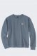 Bluza Carhartt French Terry ThunderCloud 1