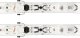 Narty damskie ROSSIGNOL NOVA 6 + wiązanie LOOK XPRESS 11 W z GRIP WALK  2025  156 cm 2