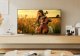 TV SONY K65XR55B 13