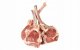 Ontario Adult Medium su ėriena ir ryžiais 12kg 4