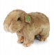 Rappa - Pluszowa realistyczna maskotka Kapibara 30 cm Eco-Friendly 1
