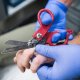 Multitool Leatherman Raptor Response Crimson Red 15