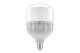 GTV Żarówka LED do Lamp Ulicznych Oświetlenie Neutralna 4000K F120 34W E27 1