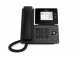 Gigaset P810B IP PRO 2