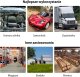 Odstraszacz kun myszy gryzoni do auta 12V ultradźwięki LED wibracje 5