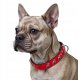 Obro�a dla psa, wz�r super bulldog franciski, 30MM/45CM czerwono/czarna 2
