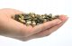 Sera Gravel Dark Coarse, żwirek do akwarium, ciemny, 3-6 mm, 10 kg 7