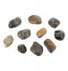 NB Minerals Kamienie polerowane Tiger II 30-50 mm do akwarium terrarium 5kg/OPAK 1