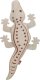 Salamandra, zabawka, dla psa, sk�rzana, 37 cm 3