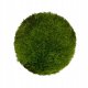 WIO Cushion Moss , mech dekoracyjny, do terrarium, ciemna ziele�,  0,095kg 1