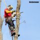 Maska przyłbica ochronna do koszenia cięcia z nausznikami Heckermann 8801 11