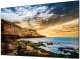 Samsung Smart Signage QE85T 214.63cm(85") Deal Only (Speditionsversand) 4
