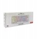 White Shark Shinobi-2 white blue switch 15