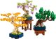 LEGO Botanicals Małe drzewka bonsai (10373) 5