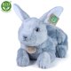 Rappa - Pluszowa realistyczna maskotka Królik 33 cm 8