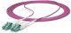 StarTech OM4RLCLC1M kabel InfiniBand / światłowodowy 1 m LC OFNR Fioletowy 5