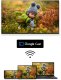 TV SET LCD 55" QLED/WHITE 55UG4S14W THOMSON 6