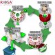 3D plastikas PCTG skaidrus 1.75mm 1kg refill pakuote Rosa3D 2