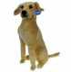 Pies Labrador 65cm 33574 3