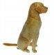 Pies Labrador 65cm 33574 4