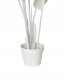 Sztuczna roślina BANANA TREE 123 cm Biały 5
