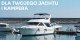 Comet VIP-plus 1430.12.59 Lavspændings-dykpumpe 1200 l/h 11 m 9