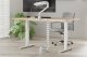 NEOMOUNTS Cable Spine Organizer for sit/stand desk frames screw mounted white 10