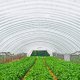 Folia do szklarni szklarniowa Folia Pokrycie do tunelu 7,3 x 15,2 m 3