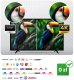Antena zewnętrzna kierunkowa TV ultra HD 4K Berdsen BD-954 EDUKAMP 12