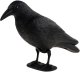 TG60297 DUŻY KRUK ODSTRASZACZ PTAKÓW GOŁĘBI SZPAKÓW 4