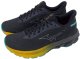 Męskie buty do biegania MIZUNO WAVE SKYRISE 6 (J1GC250951) 44 2