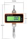 Waga hakowa dźwigowa 500kg 0,5t podwieszana lcd z pilotem nagazynowa 3