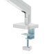 Gembird Uchwyt biurkowy na monitor 17" - 32" (MA-DA1-04-W) 2